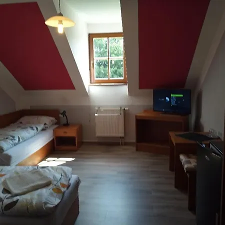 Pension Odrava 게스트하우스 3*