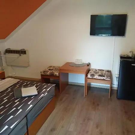 Pension Odrava Penzion 3*