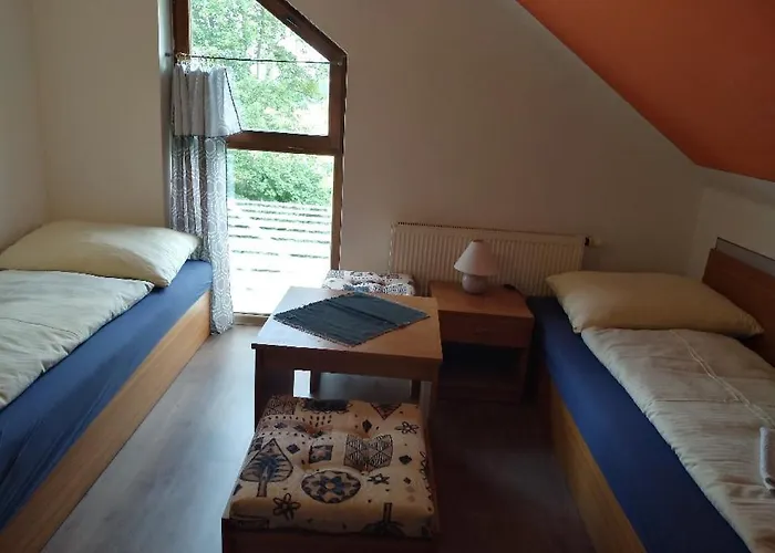 בית הארחה Pension Odrava 3*