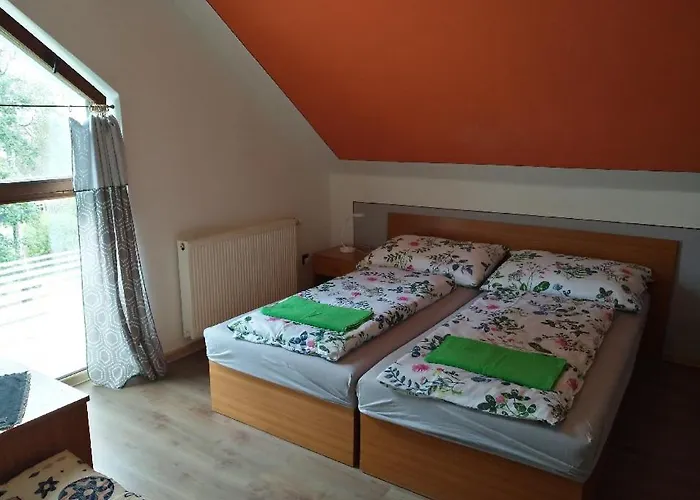 Pension Odrava Хеб