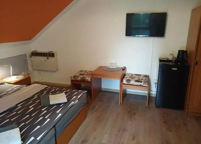 Pension Odrava בית הארחה 3*